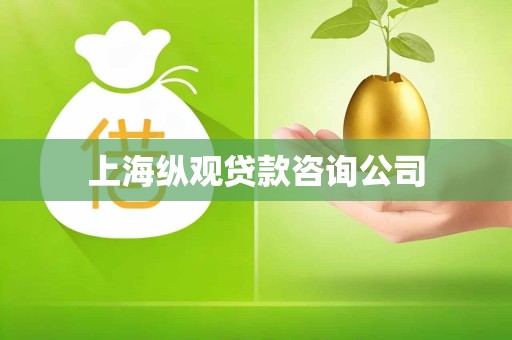 上海纵观贷款咨询公司