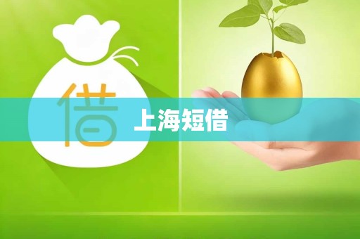 上海短借