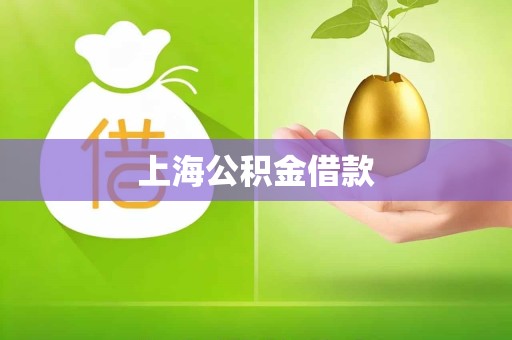 上海公积金借款