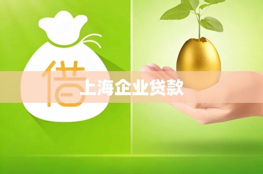 上海企业贷款