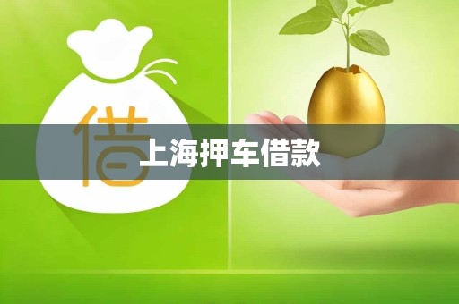 上海押车借款